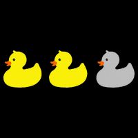 Duck Duck Gray Duck Funny Minnesota Magnet