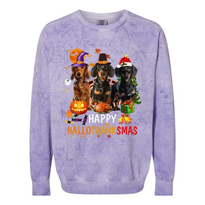 Dachshund Dog Holiday Festive Season Celebration Colorblast Crewneck Sweatshirt