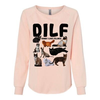 Dilf Damn I Love Felines Funny Cat Kitty Lover Womens California Wash Sweatshirt