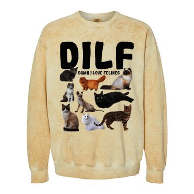 Dilf Damn I Love Felines Funny Cat Kitty Lover Colorblast Crewneck Sweatshirt