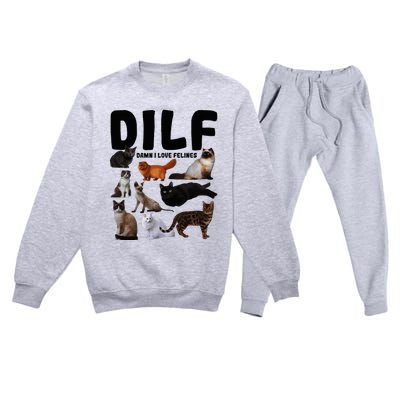 Dilf Damn I Love Felines Funny Cat Kitty Lover Premium Crewneck Sweatsuit Set