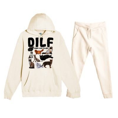 Dilf Damn I Love Felines Funny Cat Kitty Lover Premium Hooded Sweatsuit Set