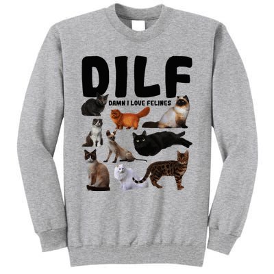 Dilf Damn I Love Felines Funny Cat Kitty Lover Tall Sweatshirt