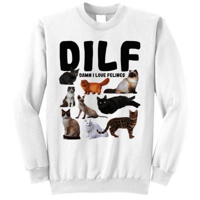 Dilf Damn I Love Felines Funny Cat Kitty Lover Sweatshirt