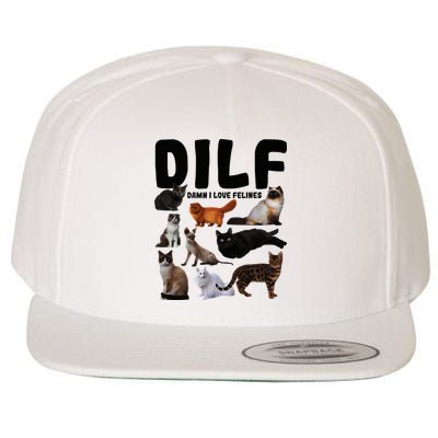 Dilf Damn I Love Felines Funny Cat Kitty Lover Wool Snapback Cap