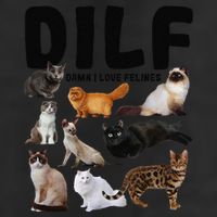 DILF Damn I Love Felines Funny Cat Kitty Lover 7 Panel Mesh Trucker Snapback Hat