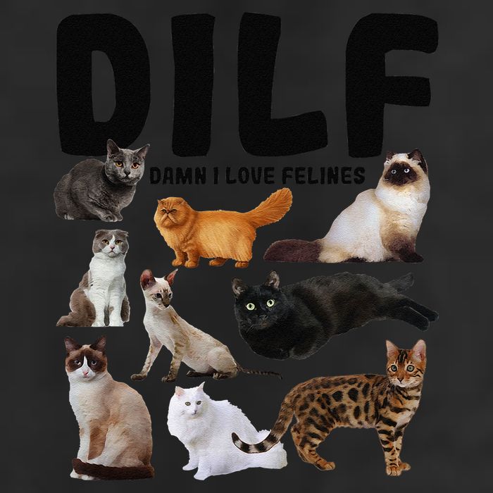 DILF Damn I Love Felines Funny Cat Kitty Lover 7 Panel Mesh Trucker Snapback Hat