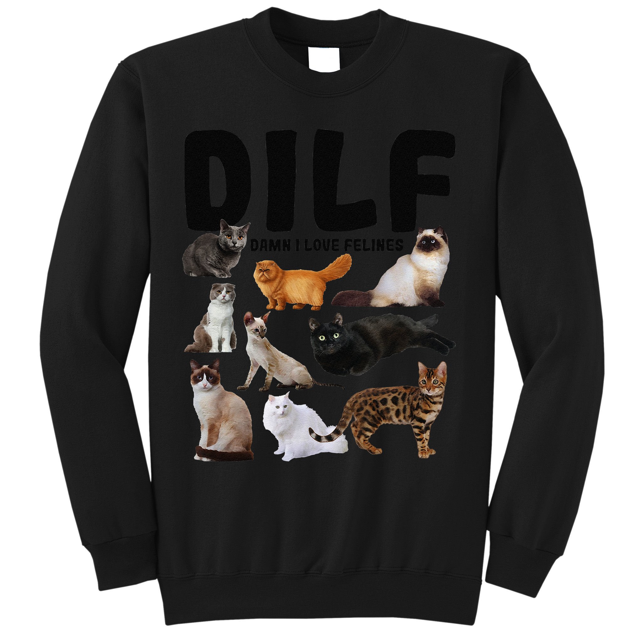 DILF Damn I Love Felines Funny Cat Kitty Lover Sweatshirt