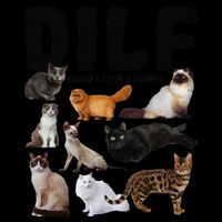 DILF Damn I Love Felines Funny Cat Kitty Lover Bag