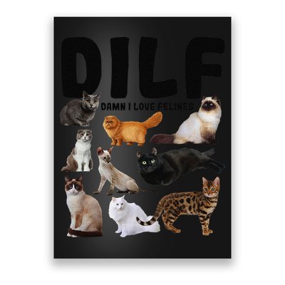 DILF Damn I Love Felines Funny Cat Kitty Lover Poster