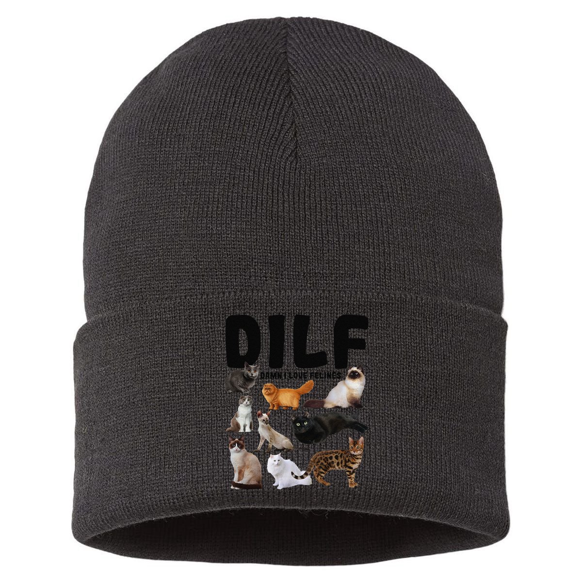 DILF Damn I Love Felines Funny Cat Kitty Lover Sustainable Knit Beanie