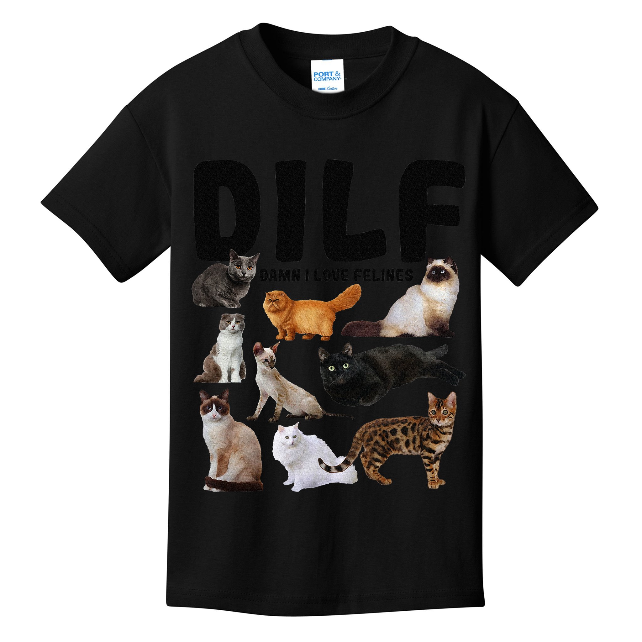 DILF Damn I Love Felines Funny Cat Kitty Lover Kids T-Shirt
