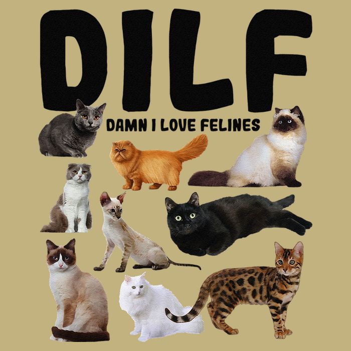 DILF Damn I Love Felines Funny Cat Kitty Lover Cooling Performance Crew T-Shirt