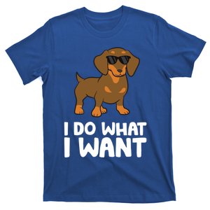 Dachshund Dog I Do What I Want Cute Dachshund Gift T-Shirt