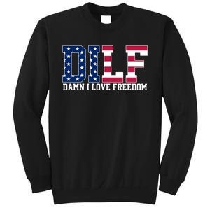 DILF Damn I Love Freedom USA Sweatshirt