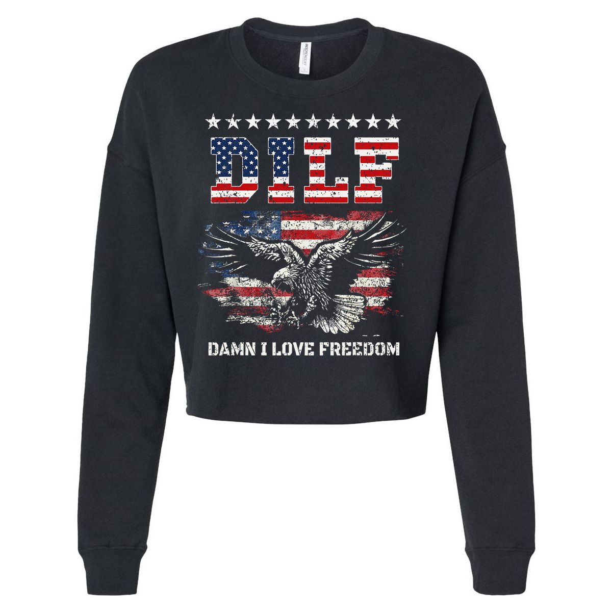 Dilf Damn I Love Freedom Eagle Funny Patriotic 4th Of July Cropped Pullover Crew