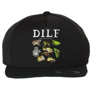 Dilf Damn I Love Frogs Frog Species Graphic Wool Snapback Cap