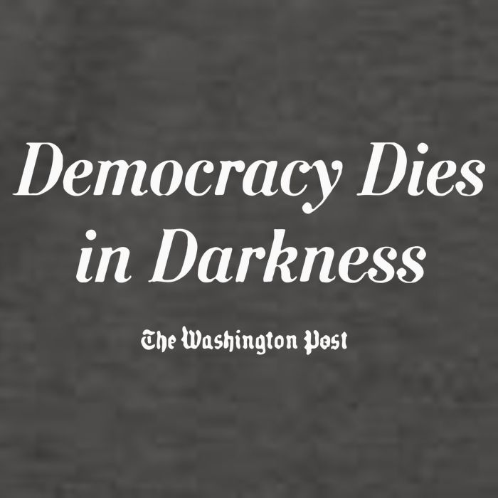 Democracy Dies In Darkness Vector Backpack