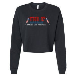 DILF Damn I Love Fireworks Funny July 4th American Patriotic Cropped Pullover Crew