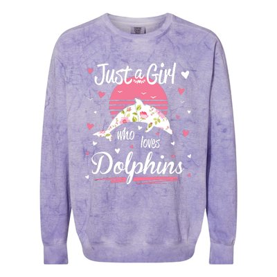 Dolphin Design, Just A Who Loves Dolphins Colorblast Crewneck Sweatshirt