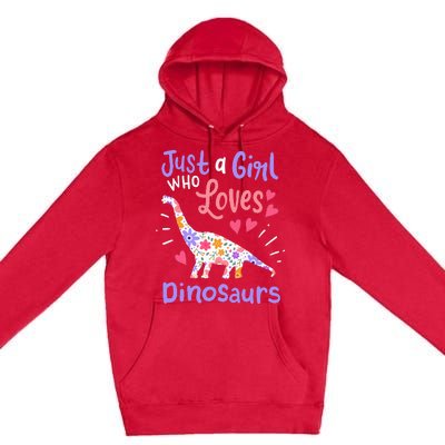 Dinosaur Dino Just a Who Loves Dinosaurs Premium Pullover Hoodie