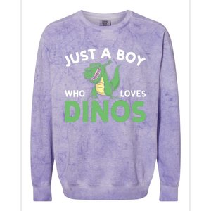 Dinosaur Dino Just A Boy Who Loves Dinos Colorblast Crewneck Sweatshirt