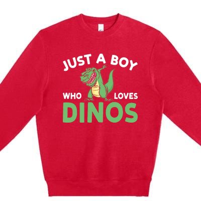 Dinosaur Dino Just A Boy Who Loves Dinos Premium Crewneck Sweatshirt