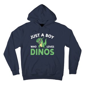 Dinosaur Dino Just A Boy Who Loves Dinos Hoodie