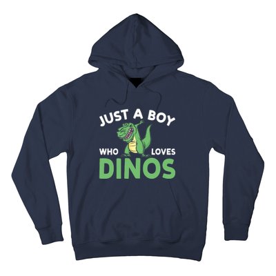 Dinosaur Dino Just A Boy Who Loves Dinos Hoodie