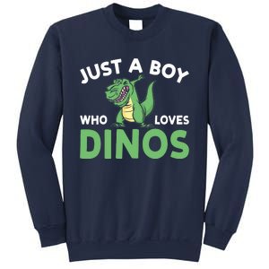 Dinosaur Dino Just A Boy Who Loves Dinos Sweatshirt