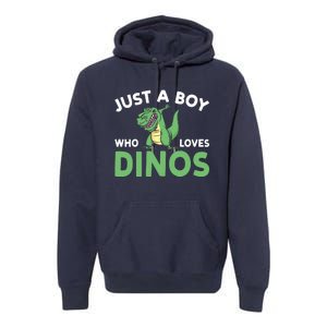 Dinosaur Dino Just A Boy Who Loves Dinos Premium Hoodie