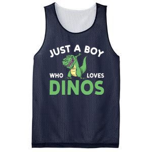 Dinosaur Dino Just A Boy Who Loves Dinos Mesh Reversible Basketball Jersey Tank