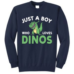 Dinosaur Dino Just A Boy Who Loves Dinos Tall Sweatshirt