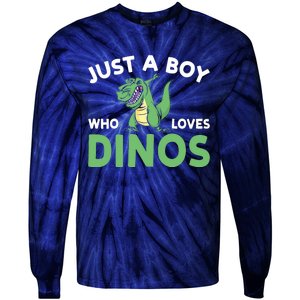 Dinosaur Dino Just A Boy Who Loves Dinos Tie-Dye Long Sleeve Shirt