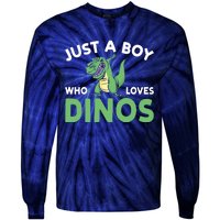 Dinosaur Dino Just A Boy Who Loves Dinos Tie-Dye Long Sleeve Shirt