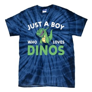 Dinosaur Dino Just A Boy Who Loves Dinos Tie-Dye T-Shirt