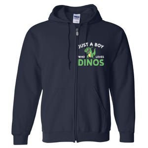 Dinosaur Dino Just A Boy Who Loves Dinos Full Zip Hoodie