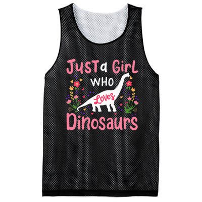 Dinosaur Dino Just a Who Loves Dinosaurs Mesh Reversible Basketball Jersey Tank