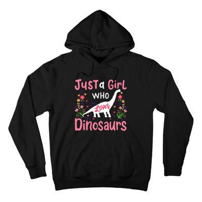 Dinosaur Dino Just a Who Loves Dinosaurs Tall Hoodie