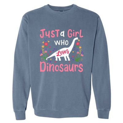 Dinosaur Dino Just a Who Loves Dinosaurs Garment-Dyed Sweatshirt