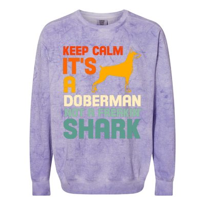 Doberman Dog Keep Calm ItS A Doberman Not A Shark Colorblast Crewneck Sweatshirt