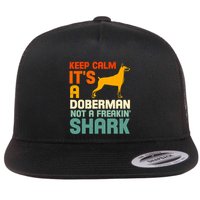 Doberman Dog Keep Calm ItS A Doberman Not A Shark Flatbill Hat