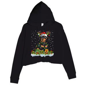 Dachshund Dog Lover Xmas Lighting Santa Dachshund Christmas Gift Crop Fleece Hoodie