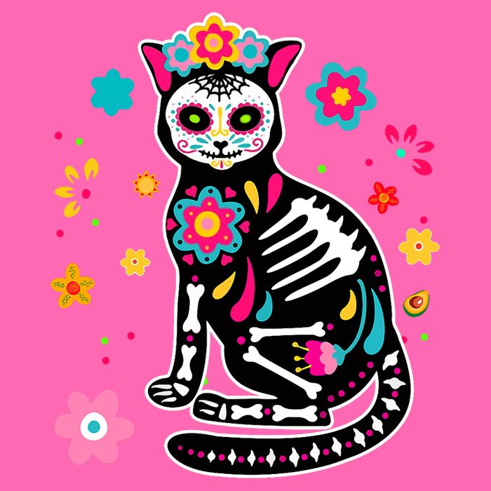Dia De Los Muertos Cat Mexican Sugar Skull Day Of Dead Stripe Pom Pom Beanie