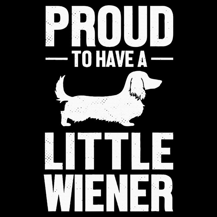 Dachshund Dog Lover Proud To Have A Little Wiener Weiner Flexfit Unipanel Trucker Cap