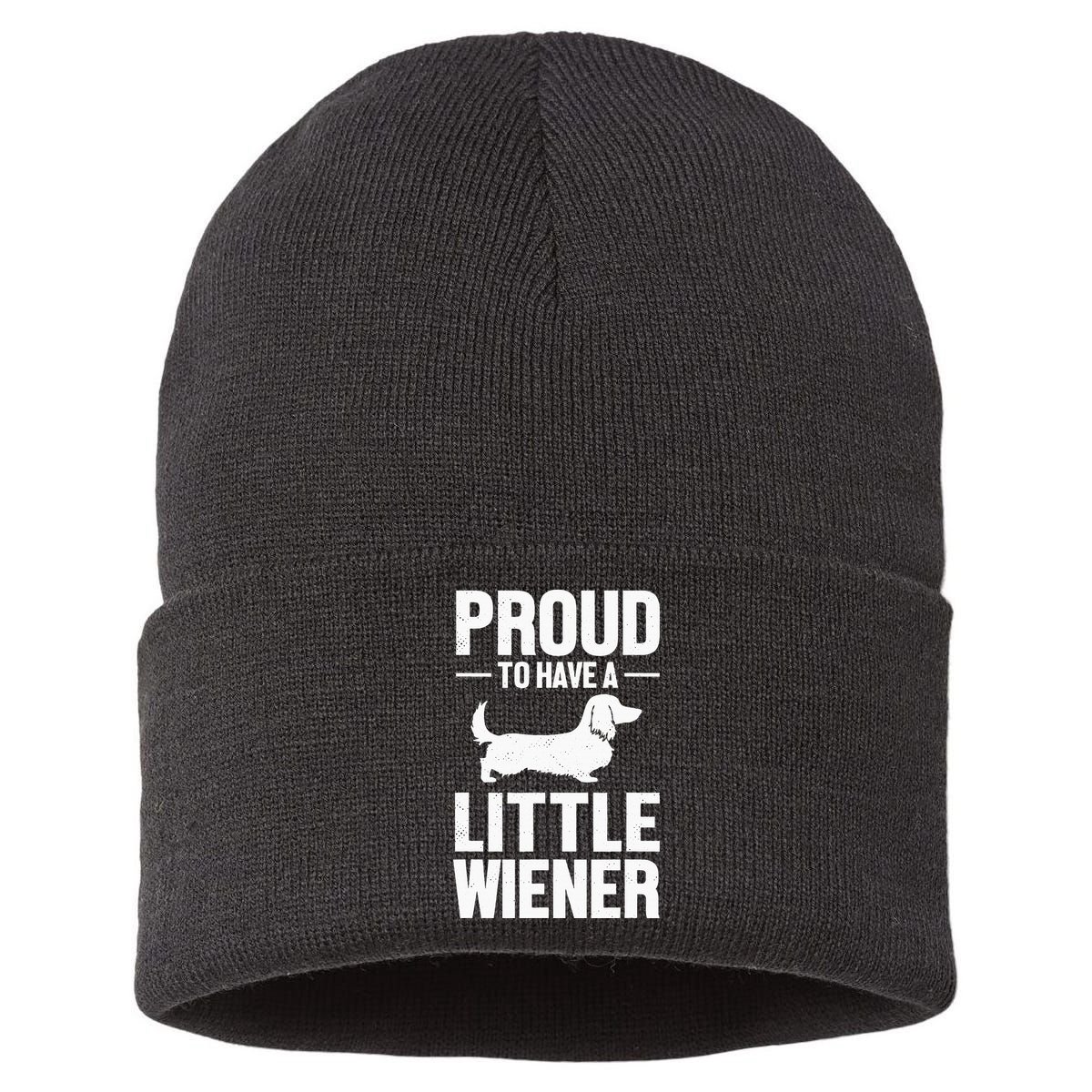Dachshund Dog Lover Proud To Have A Little Wiener Weiner Sustainable Knit Beanie