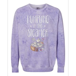 Dumpling Design Love Funny Pierogi Lover Dim Sum Colorblast Crewneck Sweatshirt