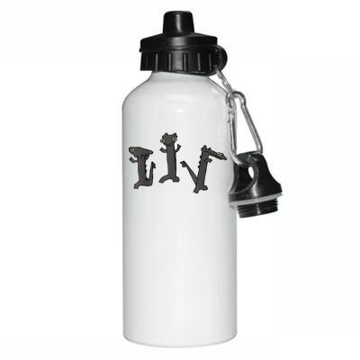 Dancing Dragon Meme Aluminum Water Bottle 