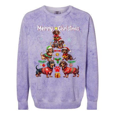 Dachshund Dogs Merry Christmas Tree Funny Dog Lovers Xmas Colorblast Crewneck Sweatshirt