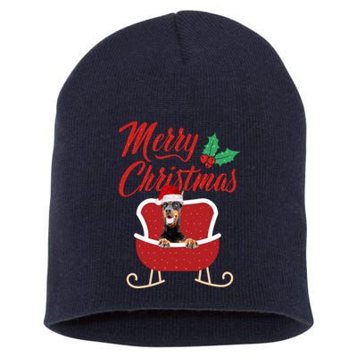 Dobermann Dog Merry Christmas Design For The Holiday Season! Short Acrylic Beanie